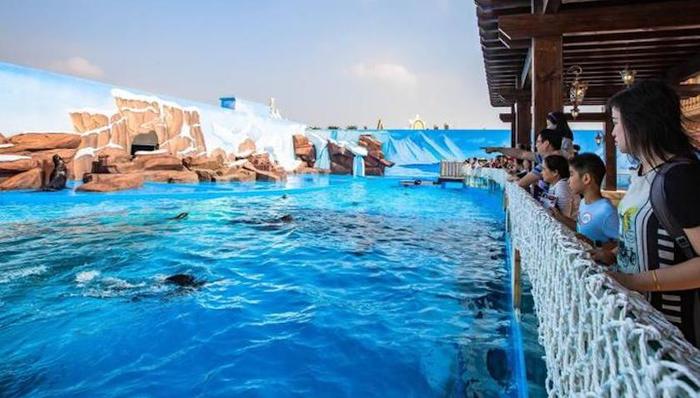 海昌,,歧视,,低价门票