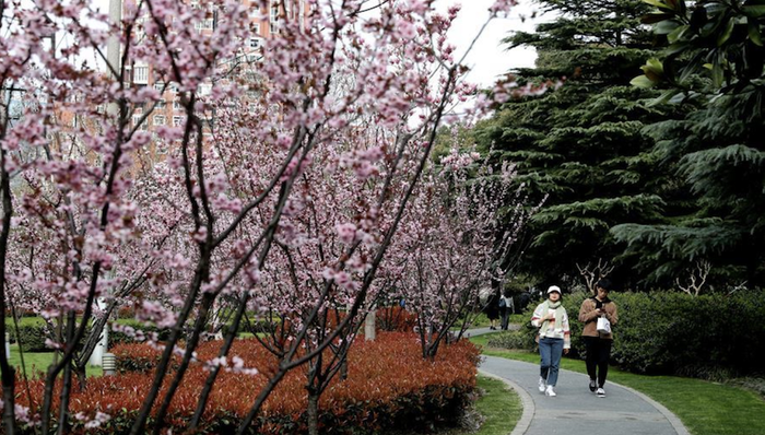 生态,绿色空间,,生态资源