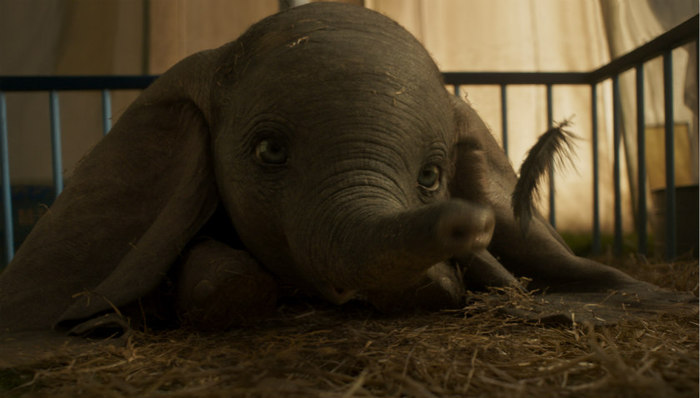 【个人意见】《小飞象》：井然有序合家欢背后，依然是爱，勇气与反歧视
