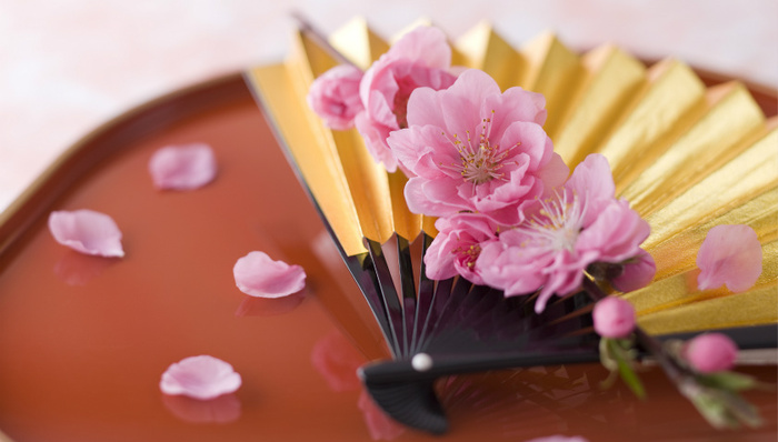 挺特别的！春季