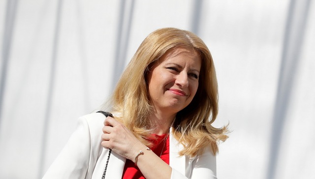 恰普托娃,总统选举,竞选纲领,分析师,挺欧派,对抗罪恶,宪法法院,法国总统,民粹主义,议会选举