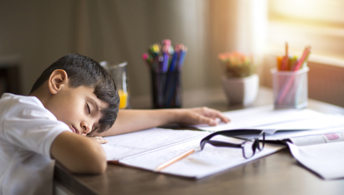 欧洲哪个国家教育最牛？看看这部插班生纪录片