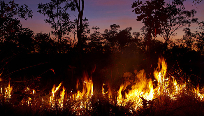 最高级别！时隔三年官方再发高森林火险红色预警