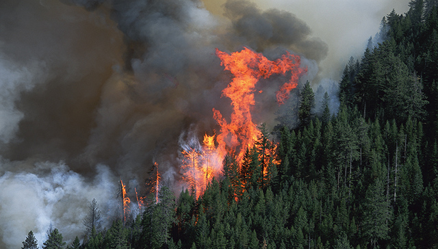 权威解读：四川木里山火为何难扑救，为何突发轰燃？