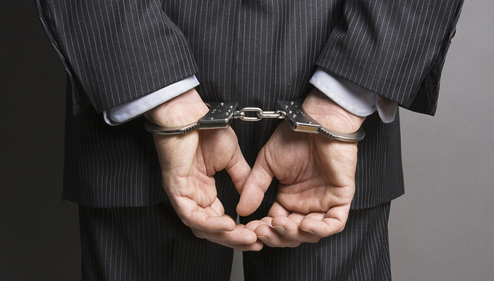 “曹园”法定代表人曹波、副总经理苏林芳被刑拘