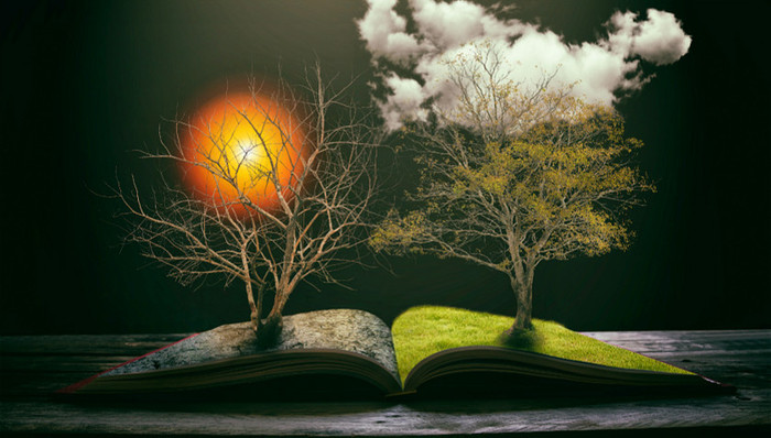 联合利华,3M,苹果,谷歌,基业长青,研发,惠普,福特