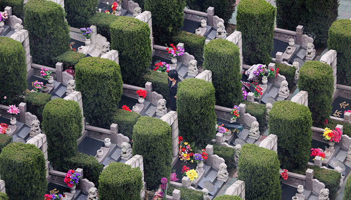 殡葬改革,民政部