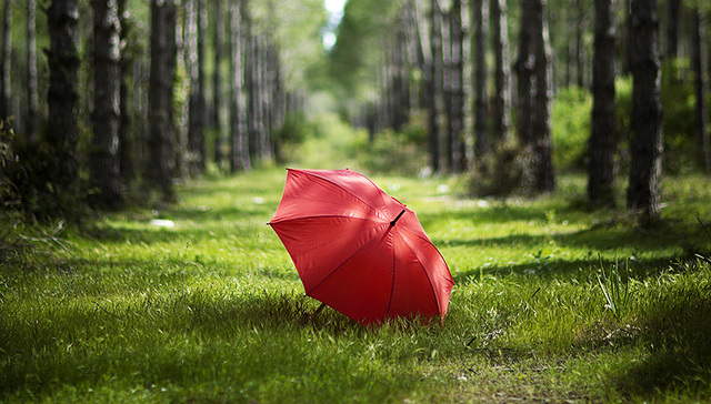 社保降费综合方案出炉，5月1日起实施