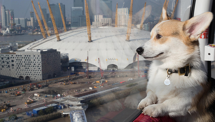 天下故事,惊奇的发现