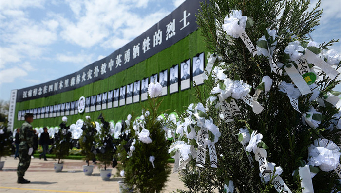 森林火灾,消防员,烈士