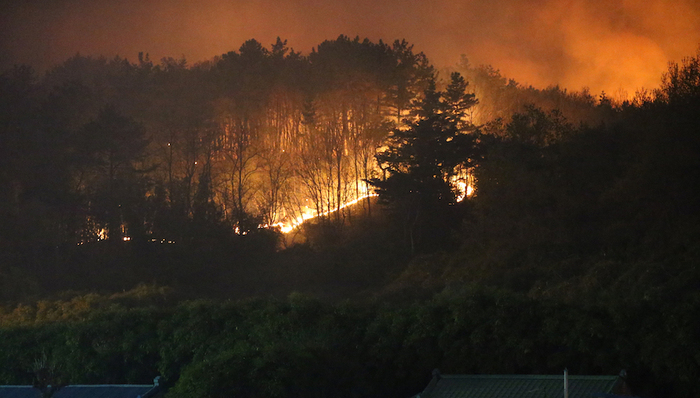 亚洲社会,天下故事