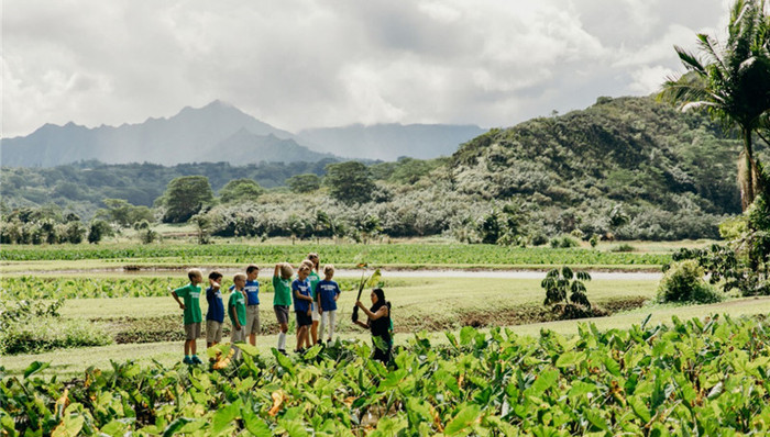 【一周享乐指南】CHAO开启第二届北京威士忌狂欢节，喜茶上新青团系列
