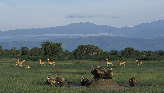 美国社会,天下故事