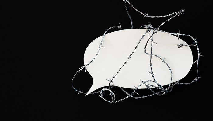 发布时政有害信息！微博处置于建嵘、童大焕、六神磊磊等账号