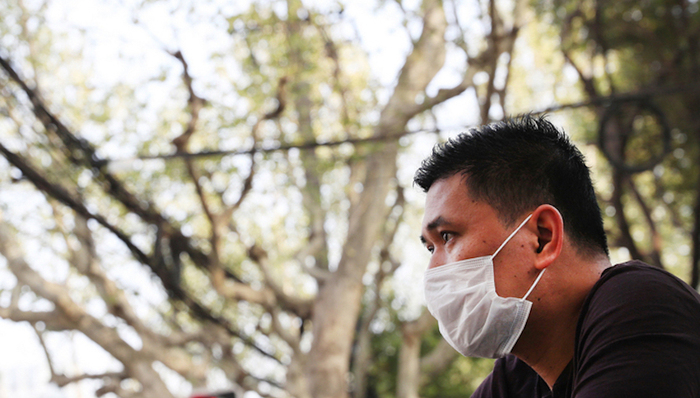 果毛,,悬铃木,上海历史