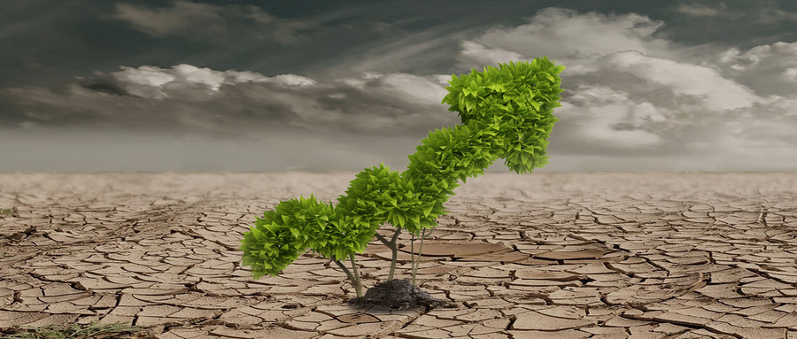 工业大麻,诚志股份,并购