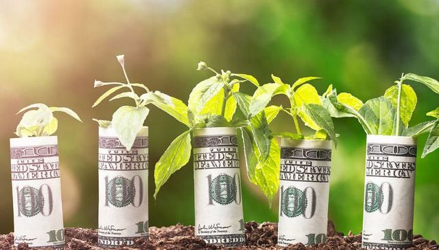 年管理费率低至0.1%，海外社会责任基金再立标杆