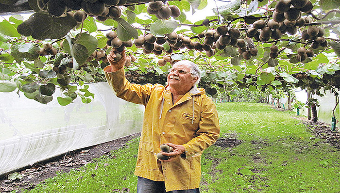 【出国早报】新西兰高薪聘人摘猕猴桃；中国高净值人士全球第二；美高校招生舞弊案13名家长认罪