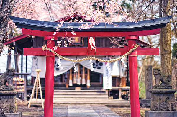 日本,旅游风向标