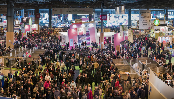 首届进博会,意向成交,第二届,高质量发展