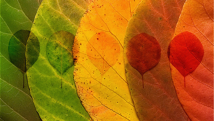 领导力,情境,自然人格,长江商学院,产能,经济转型