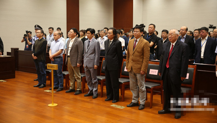 顾雏军,不枉不纵,法律面前人人平等原则,判决,飞来横祸,灰色,挪用资金罪