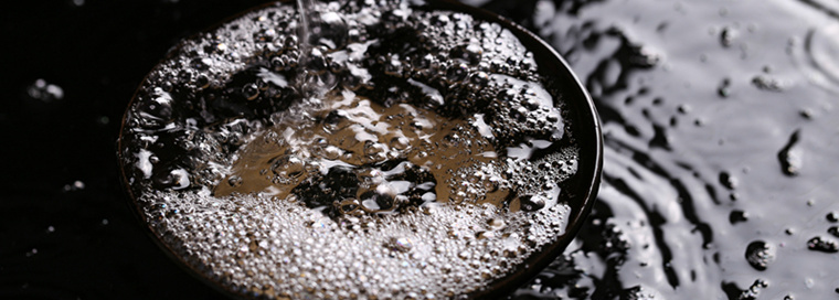 三元股份,多元化,年报