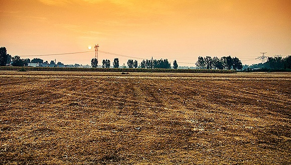 地产商,土地市场