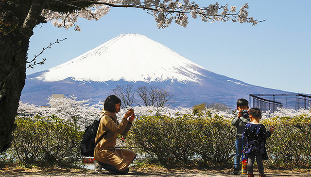 【一周环球掠影】阳春三月，踏青、放风筝、赏花正当时