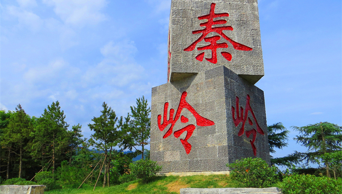 秦岭,农家乐,医保骗保,湖南高院,高架火炬,奇葩证明,癌症