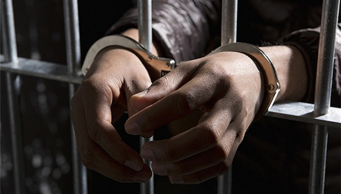 陈丹霞,专案组,被抓,干部,取保候审,办案人员,追逃,抓捕,终审判决,陈某