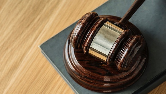 巴布豆,上海知产法院,近似商标,侵权