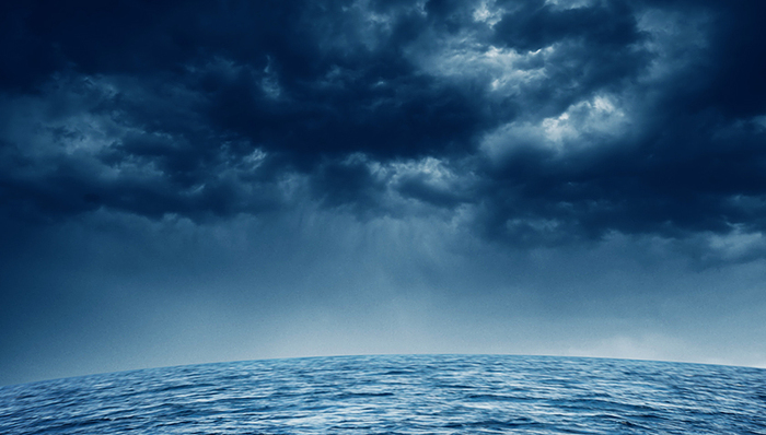 视觉中国,机构席位