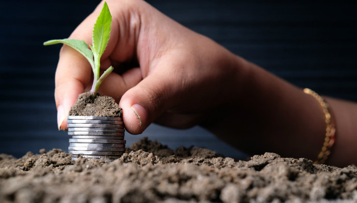 工业大麻;诺普信