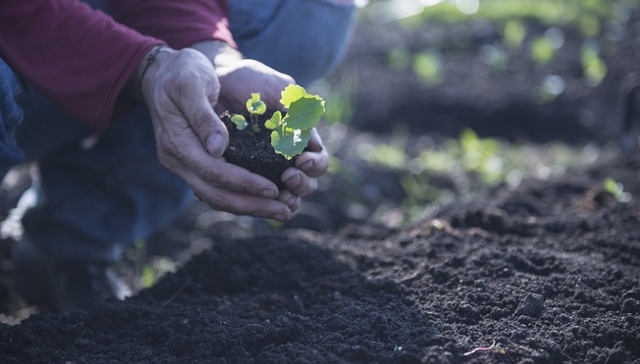 省会城市,污染地块
