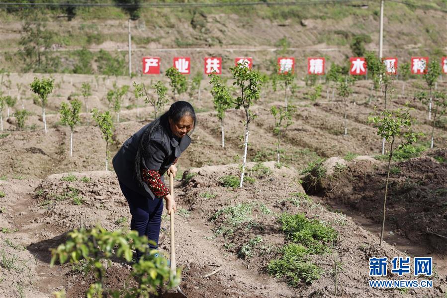 （新华全媒头条·图文互动）（12）深深的牵挂 殷殷的嘱托——习近平总书记考察重庆回访记