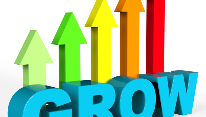 张越：发展母基金，学习“耶鲁模式”