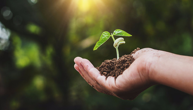 生态环境部,大气污染,生物多样性