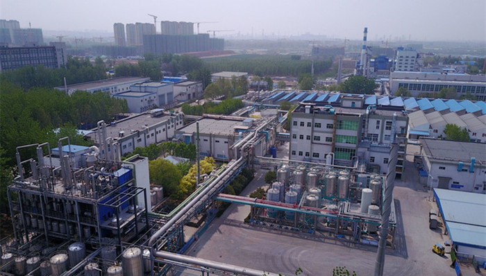 齐鲁天和惠世,齐鲁制药