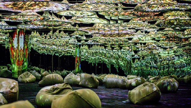 带你看展 | 瑰丽•犹在境数字展登陆南京，探索想象力的边界