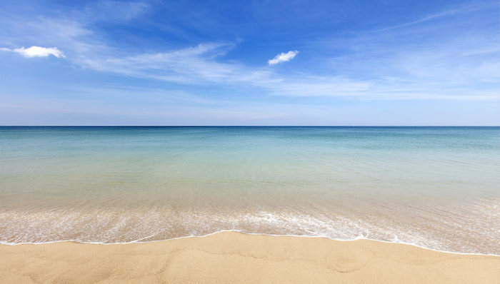 从物流港转向贸易港，青岛港发起“海洋攻势”