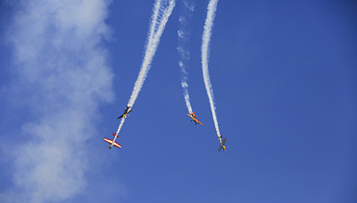 工业大麻,八菱科技