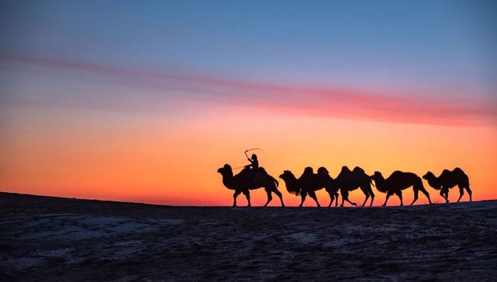 一带一路,工笔画,长征二号丙,绘就,贸易投资自由化便利化,发射升空,议程,区域发展规划,联合国,合唱