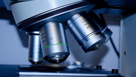 知识产权保护，科技创新，上海知产法院院长