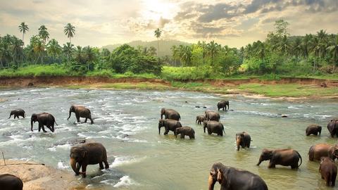 爆炸袭击恐遭重创斯里兰卡旅游业，影响其对外偿债能力