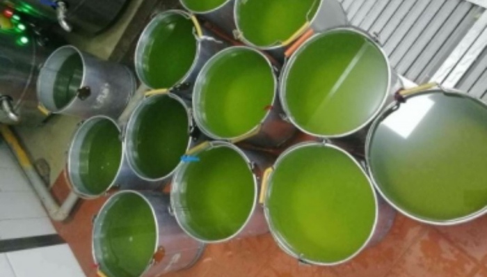 湖北安陆自来水变“绿茶”，当地启动饮用水源地应急响应供水已基本正常