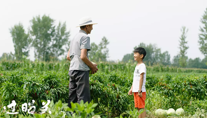 影讯 | 《过昭关》0502开启点映 奉俊昊《寄生虫》发布全新剧照