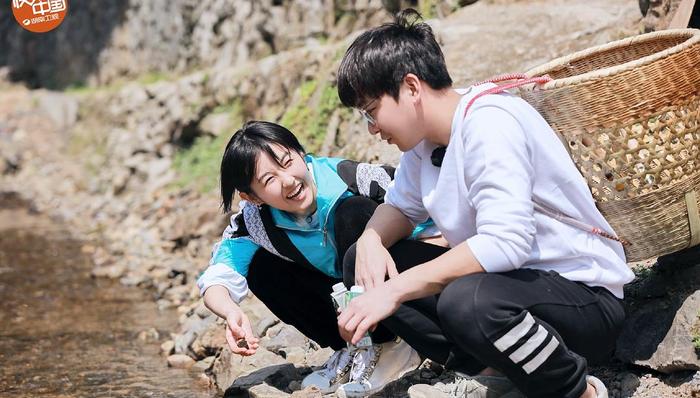 向往,乌托邦,家有儿女,换人,金主,向往的生活,锅碗瓢盆,三时三餐,快乐大本营,节目整体