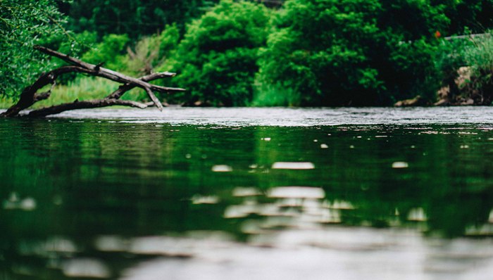 跨界河流,农村生活污水,污染