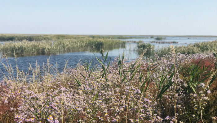上海,崇明,世界级生态岛,农业